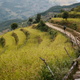 Image for article titled Hiking Nepal In Edmund Hillary's Footsteps